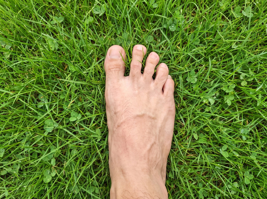 Week 20+